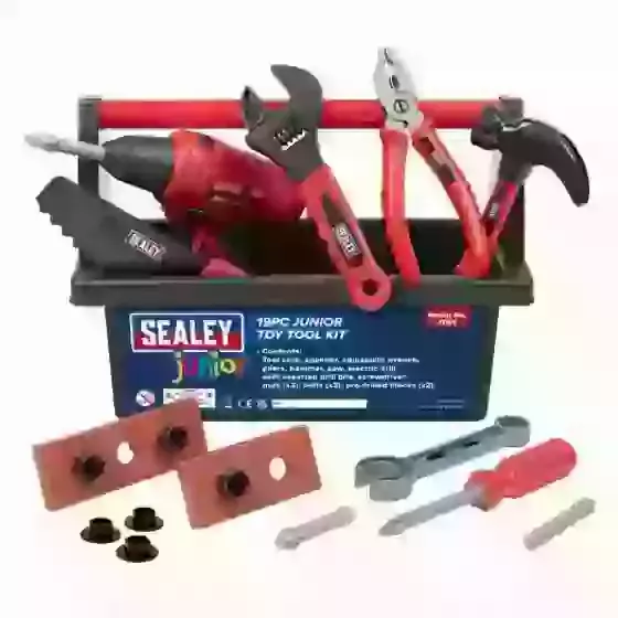 Sealey 19pc Junior Tool Kit